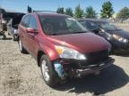 2011 HONDA  CRV