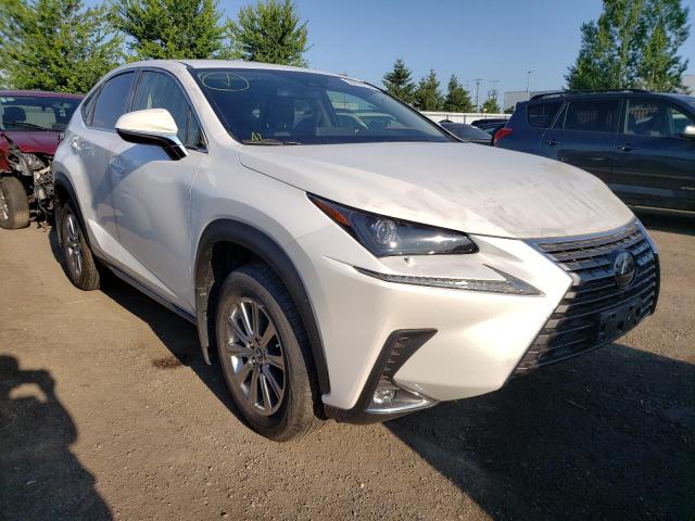 2020 Lexus Nx 300 Base Photos 