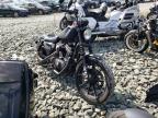 photo HARLEY-DAVIDSON XL883 N 2020