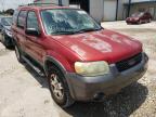 2005 FORD  ESCAPE