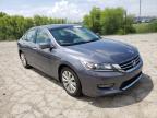 2013 HONDA  ACCORD