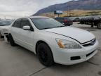 2007 HONDA  ACCORD