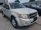 2008 FORD  ESCAPE