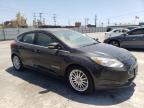 2014 FORD  FOCUS