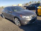 2008 HONDA  ACCORD