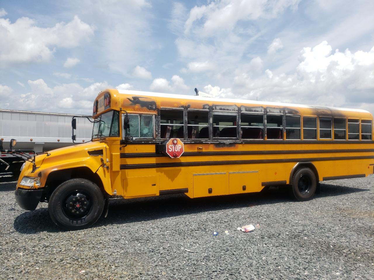 2023 Blue Bird School Bus / Transit Bus for Sale