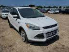 2013 FORD  ESCAPE