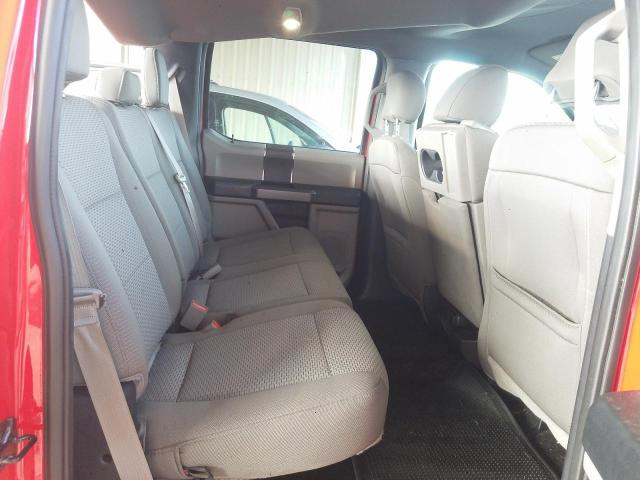 2019 FORD F150XLT4X4 1FTEW1E51KFB85318