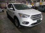 2019 FORD  ESCAPE