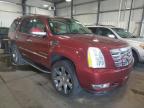 CADILLAC ESCALADE 2009 Zdjęcia