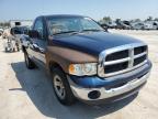 DODGE RAM 1500 2005 foto
