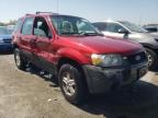 2005 FORD  ESCAPE