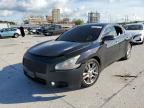 Lot #2907358963 2014 NISSAN MAXIMA S