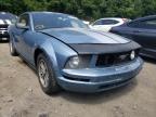 2005 FORD  MUSTANG