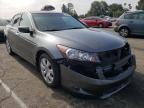 2009 HONDA  ACCORD