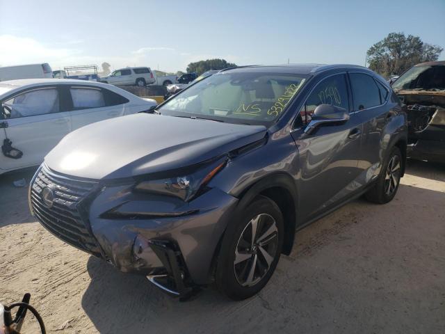 2021 LEXUS NX 300H BA JTJGJRDZ7M2168556
