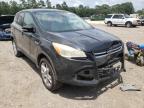 2013 FORD  ESCAPE