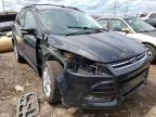 2013 FORD  ESCAPE