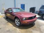 2005 FORD  MUSTANG