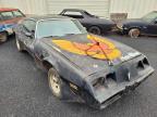 1979 PONTIAC  TRANS AM