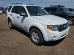 2008 FORD  ESCAPE