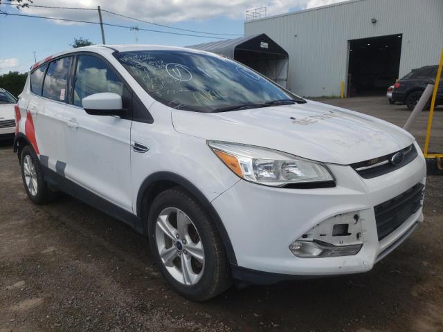 Salvage cars for sale from Copart Montreal Est, QC: 2014 Ford Escape SE