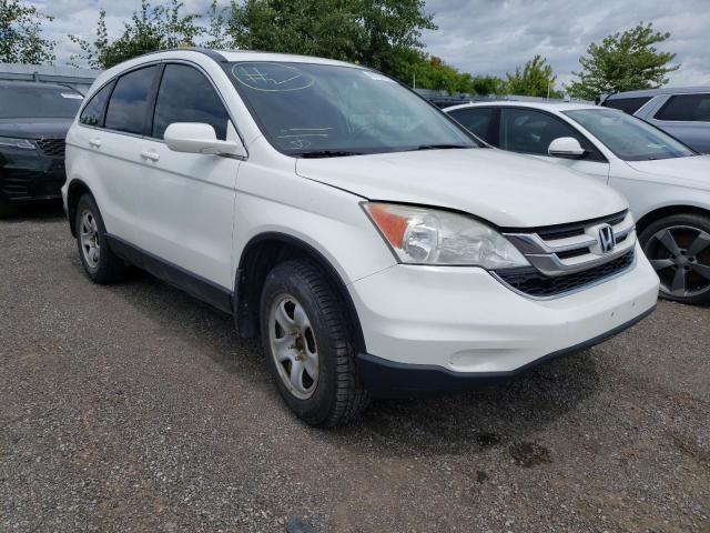 Salvage cars for sale from Copart Bowmanville, ON: 2010 Honda CR-V EXL