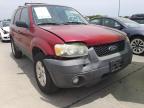 2007 FORD  ESCAPE