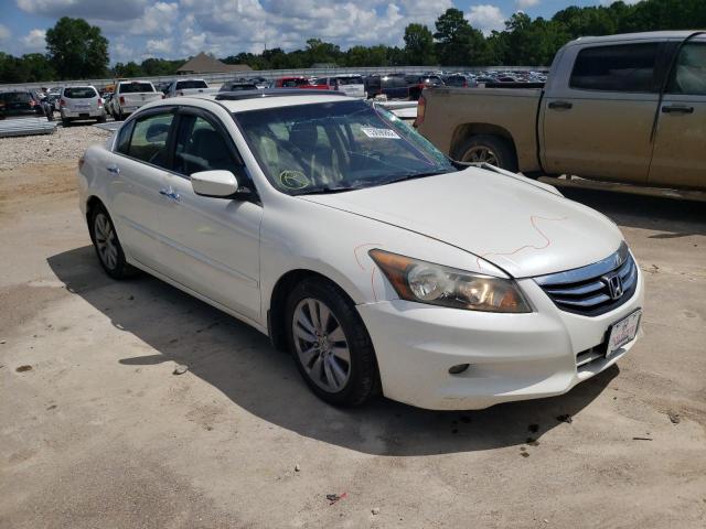 Salvage cars for sale from Copart Florence, MS: 2011 Honda Accord EXL