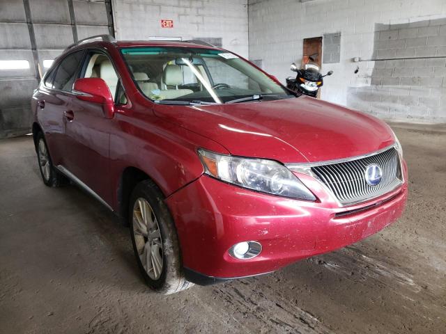 2010 Lexus RX 