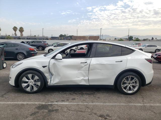 2020 TESLA MODEL Y - 5YJYGDEE0LF015601