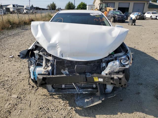 2016 TOYOTA CAMRY LE - 4T1BF1FK2GU550899