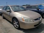 2005 HONDA  ACCORD