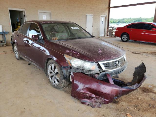 Salvage cars for sale from Copart Tanner, AL: 2010 Honda Accord EXL