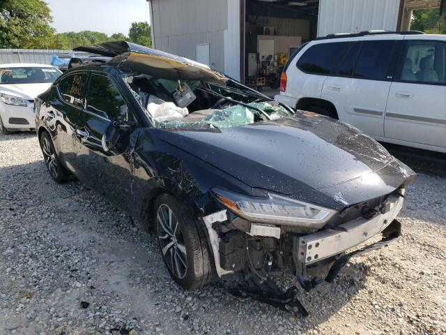 Salvage cars for sale from Copart Rogersville, MO: 2019 Nissan Maxima S