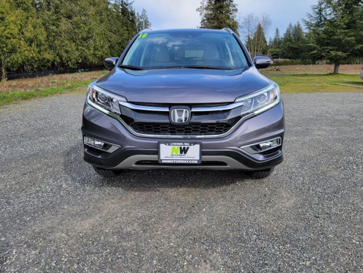 2016 Honda Cr-V Touring VIN: 5J6RM4H93GL044230 Lot: 54665532