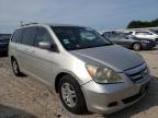 2005 HONDA  ODYSSEY