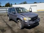 2007 FORD  ESCAPE