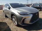 photo LEXUS NX 350H 2022