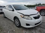 photo TOYOTA COROLLA 2010