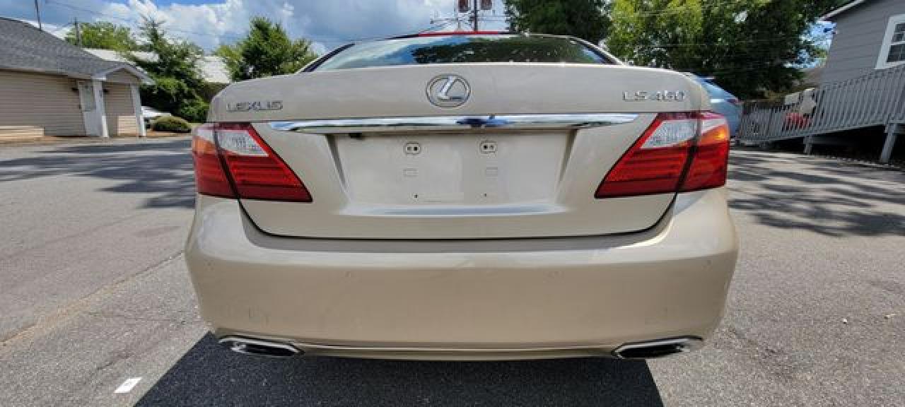 2010 Lexus Ls 460 VIN: JTHBL5EF4A5101281 Lot: 55292262