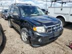 2009 FORD  ESCAPE