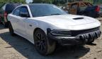 2017 DODGE  CHARGER