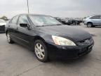 2005 HONDA  ACCORD