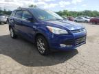 2013 FORD  ESCAPE