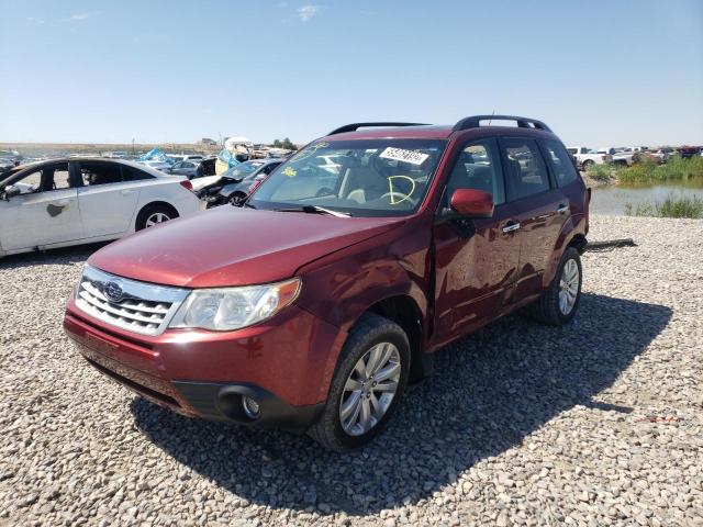 JF2SHAFC1DH439855 Subaru Forester Limited