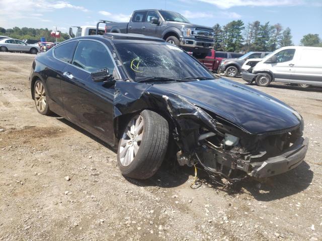 Salvage cars for sale from Copart Finksburg, MD: 2009 Honda Accord EXL