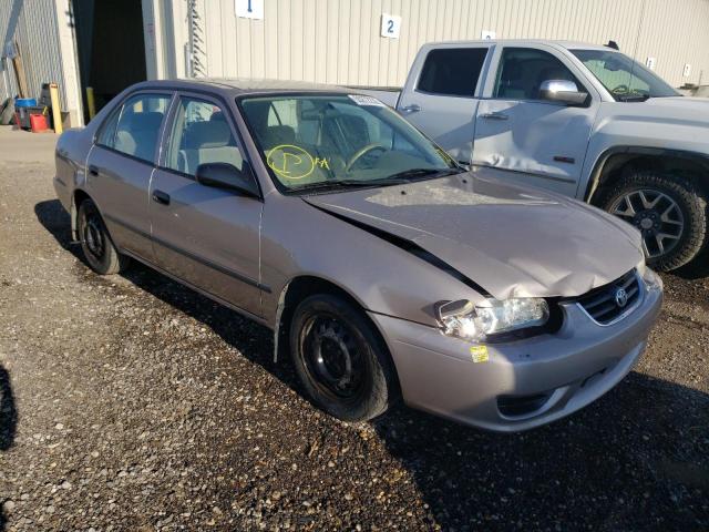 Salvage cars for sale from Copart Rocky View County, AB: 2001 Toyota Corolla CE