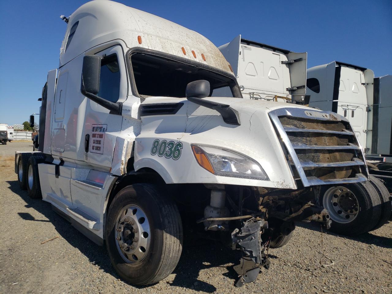 Freightliner 2019