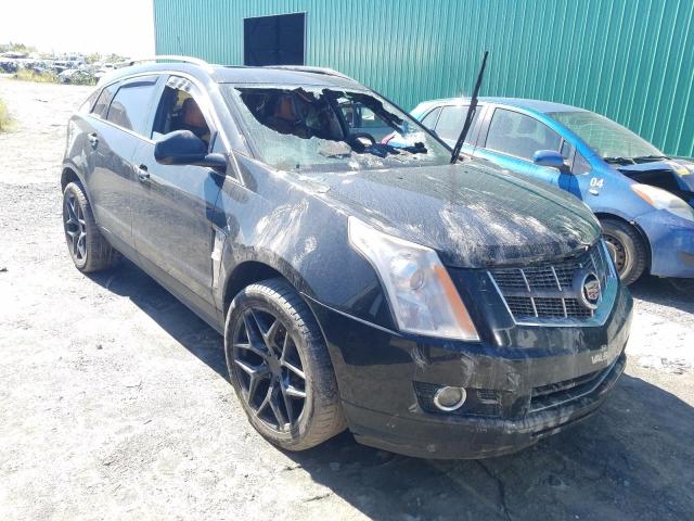 Salvage cars for sale from Copart Montreal Est, QC: 2010 Cadillac SRX Premium
